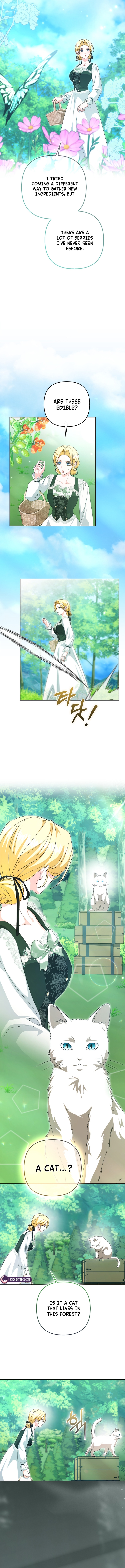 Welcome to the Café of the Dark Guild’s Successor Chapter 23 46 8f1516bd63f113fe9e3c3dc81f08edec