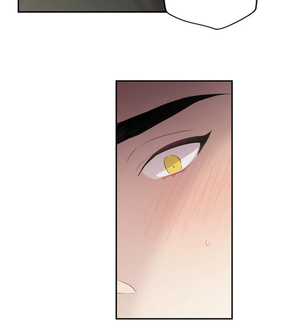 Howling Under the Moonlight Chapter 43 411 c24223395737