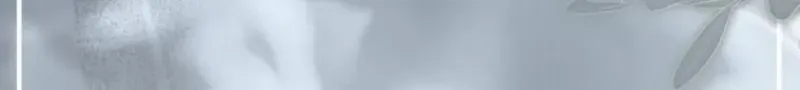 2f9772599ea2 114 webp