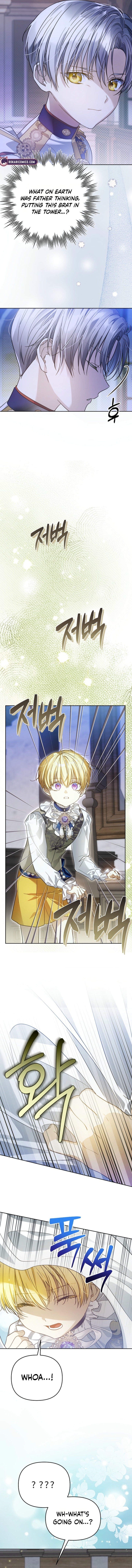 Travesti: I Became the Fake Prince Chapter 7 82 367d58ec3bf44fd3d5a43e02b32fe5b0