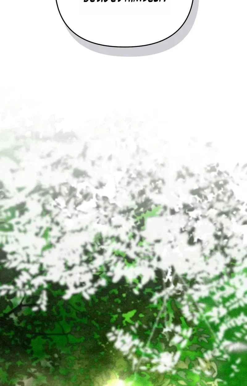 be0233c2e005