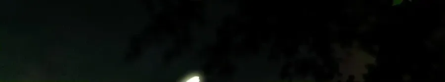0e1c8679018b