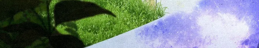 19da3ef01741