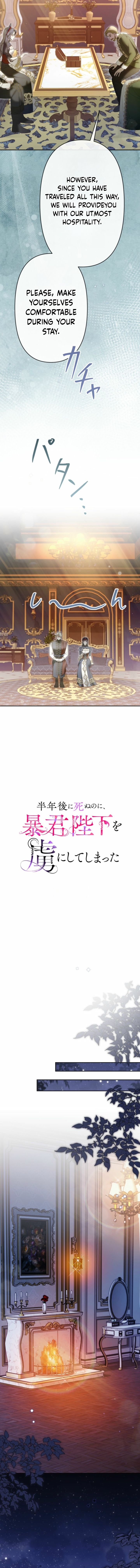 image 02 result