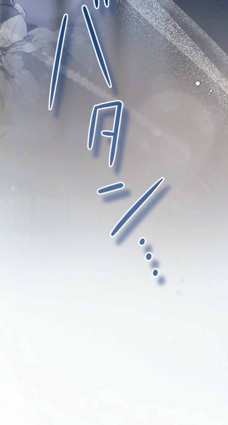 6bd898fe5ac5