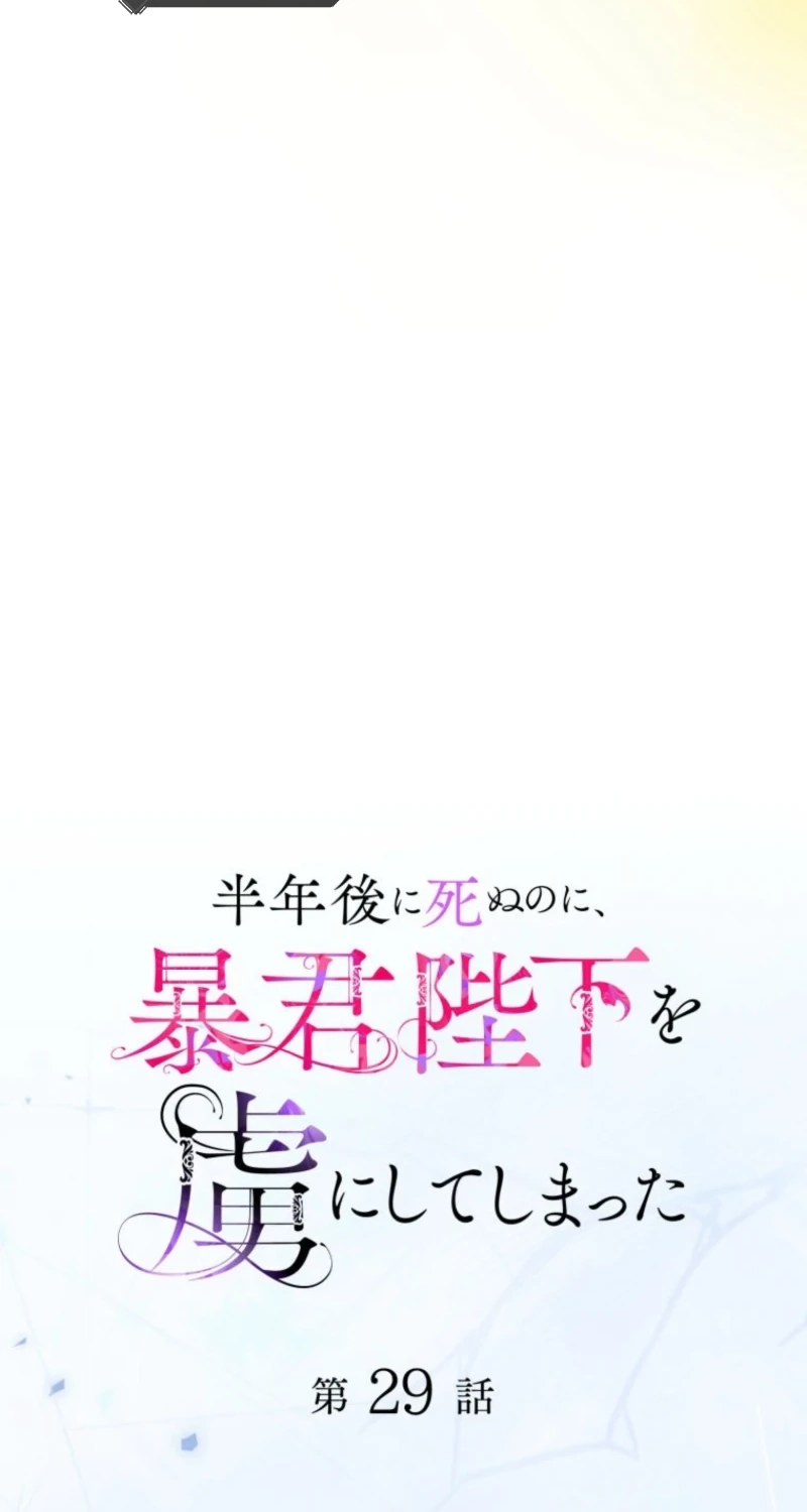 bccc6e81e7c0