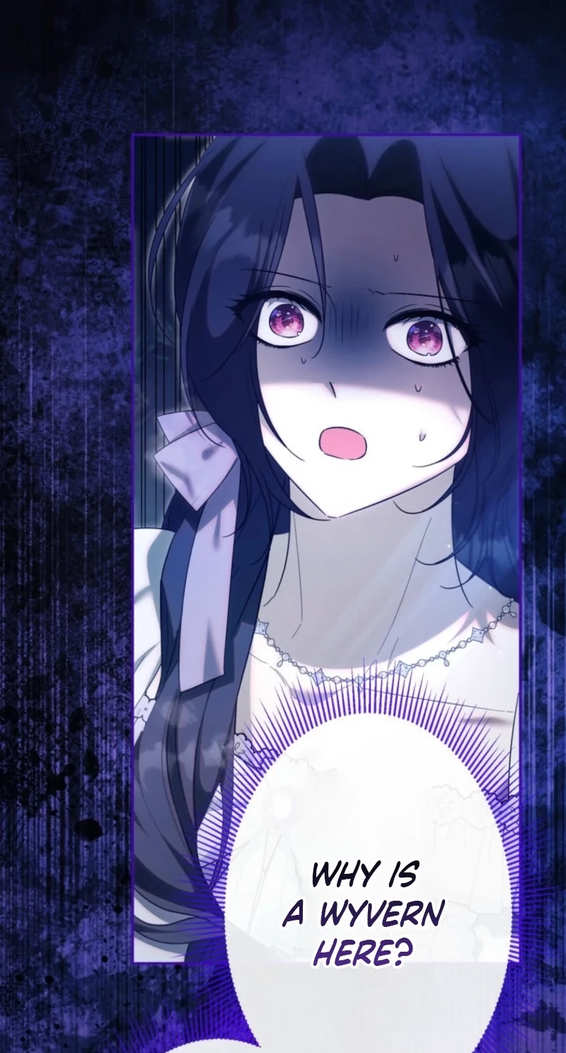 88ce2d397021