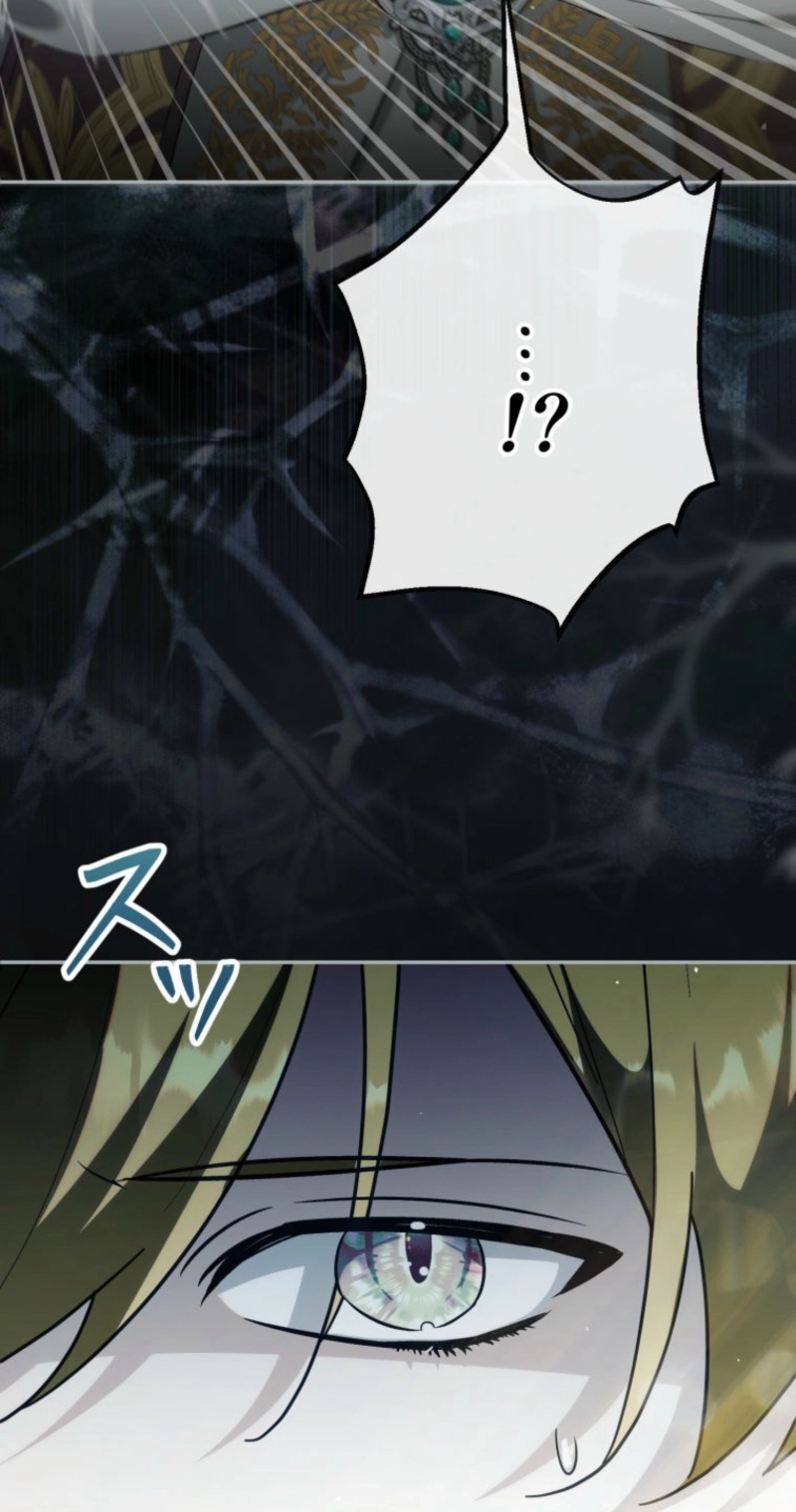 The Tyrant’s Obsession with the Dying Empress Chapter 32 467 dab8ba29cc9a
