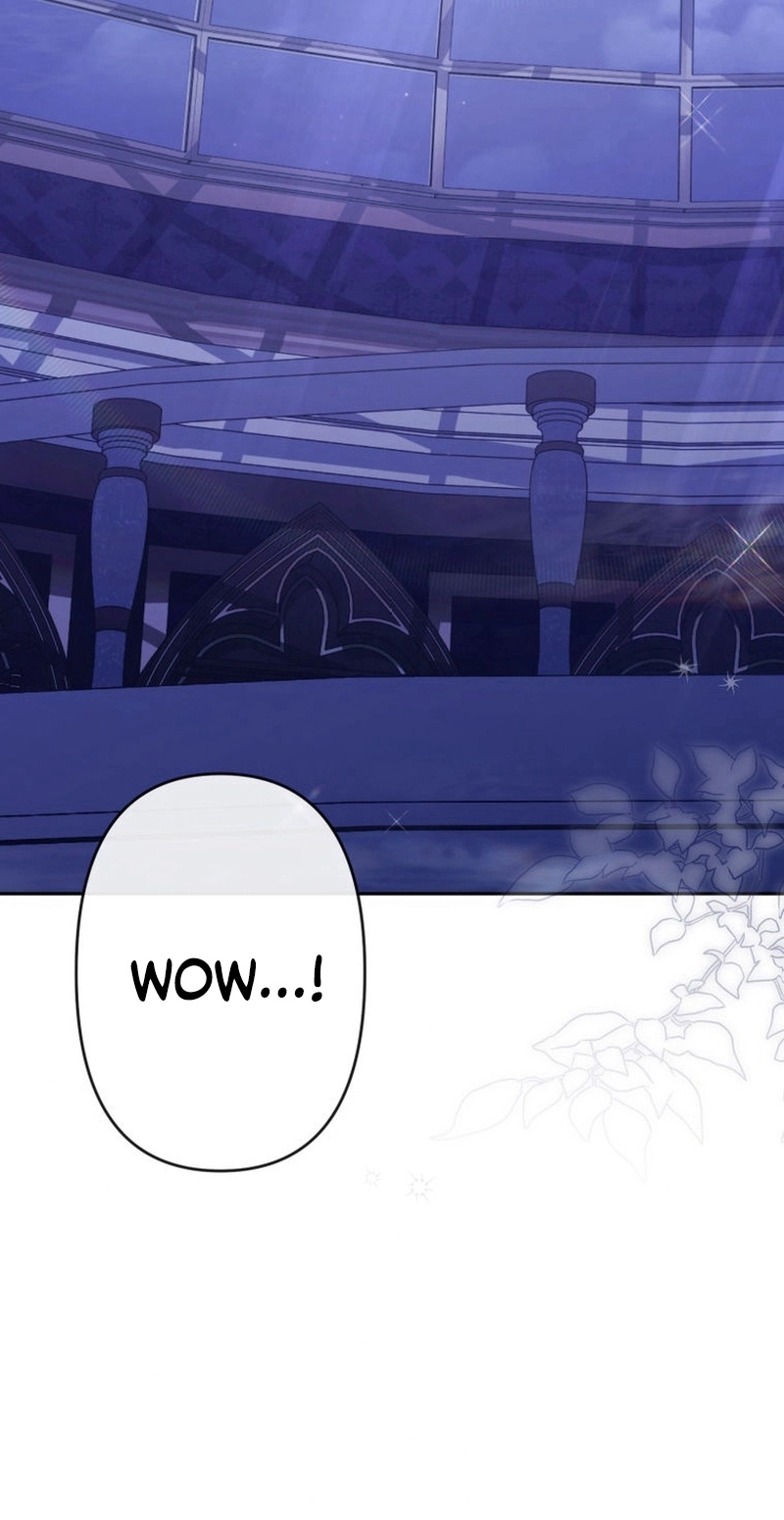 The Tyrant’s Obsession with the Dying Empress Chapter 33 505 9aaf2d4d035a