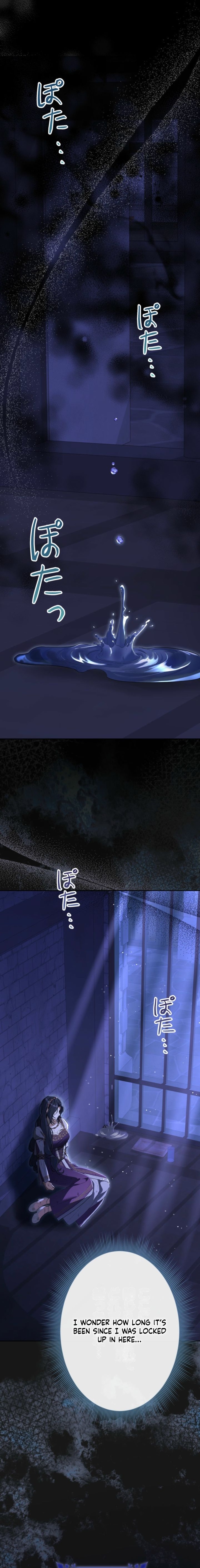 image 01 result
