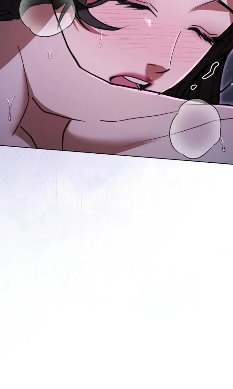 2e3a1b6ff740 64 webp