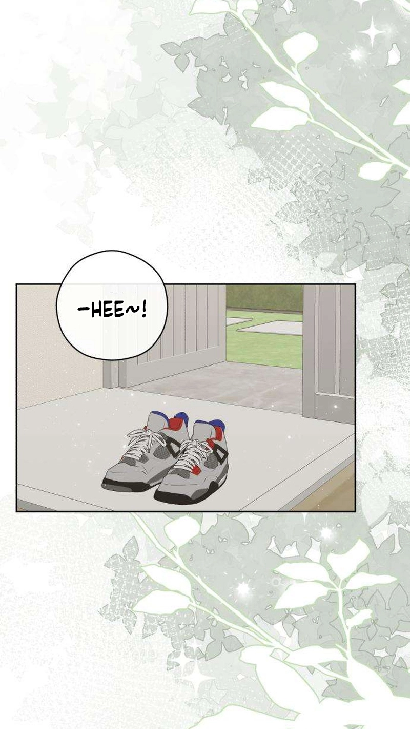 ce20368652ef