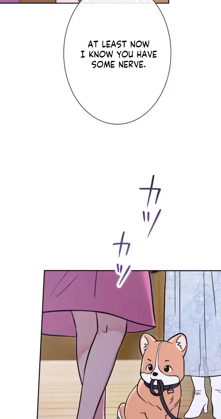 Isn’t Love Supposed to be Unnecessary in a Mistress Contract? Chapter 11 261 60 webp