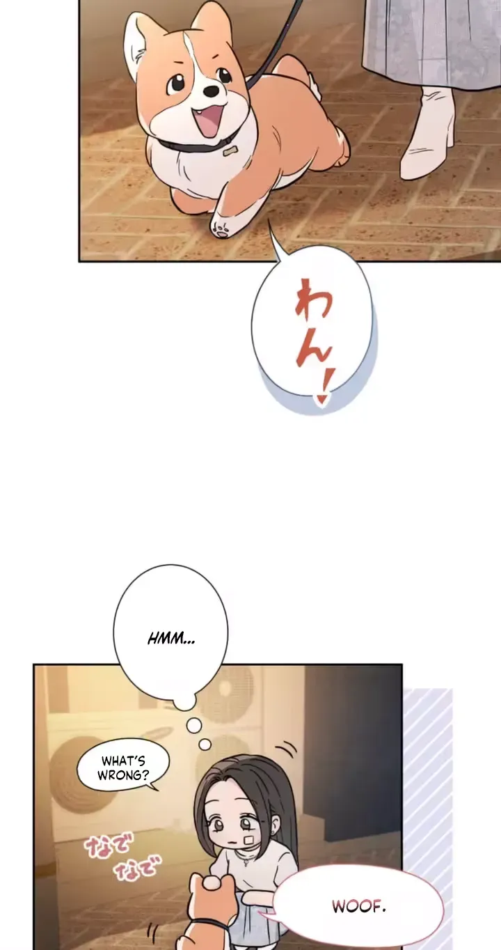 16 webp
