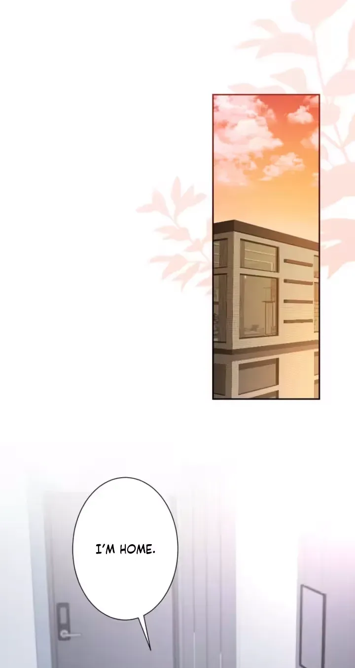26 webp