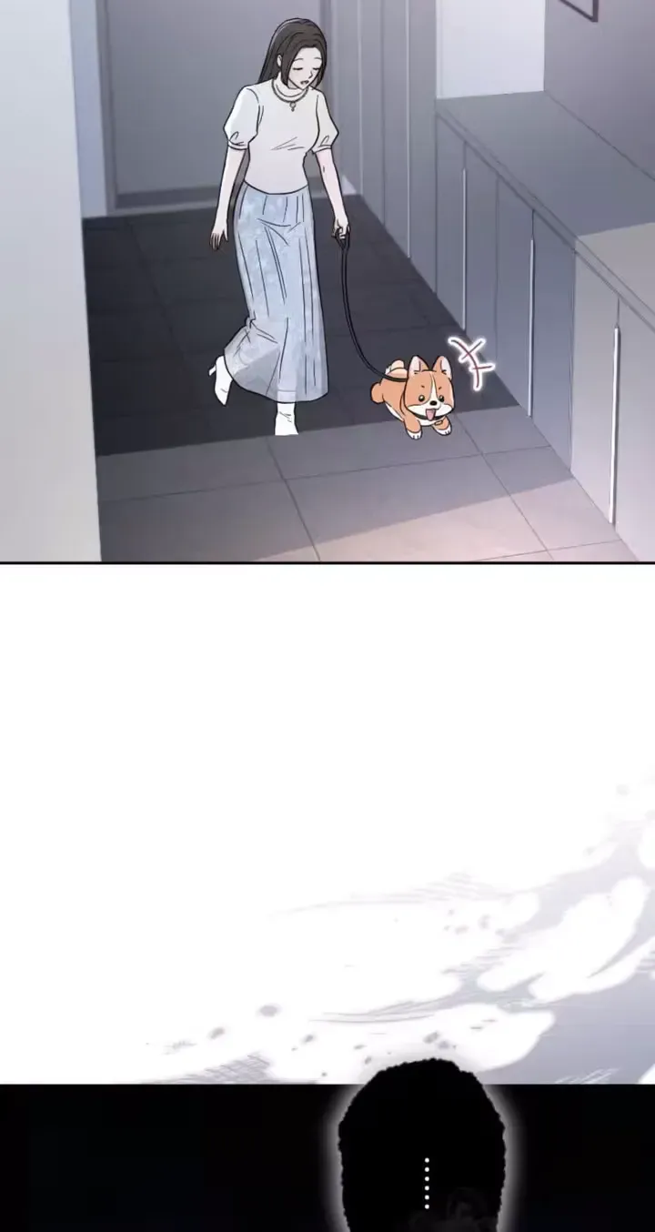 27 webp