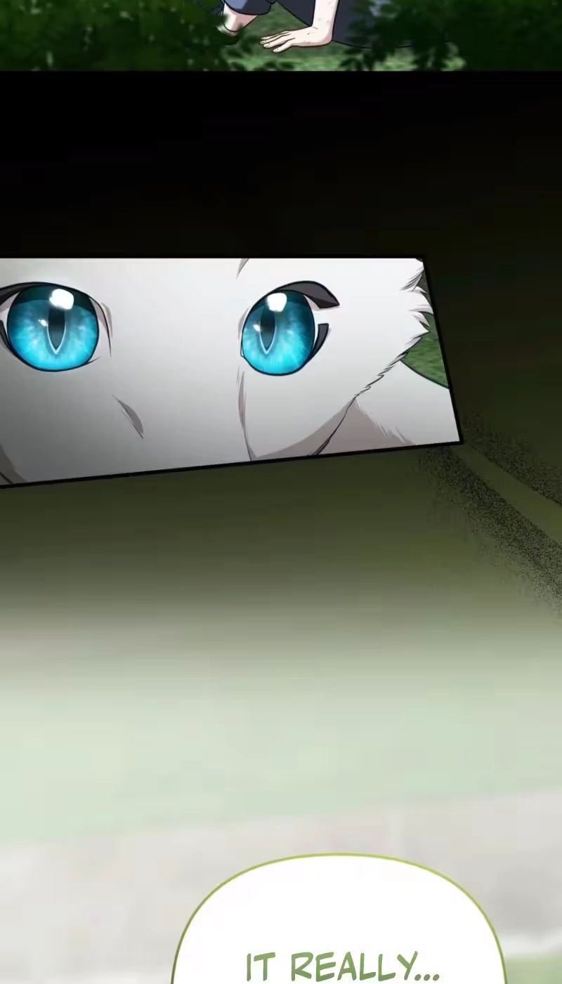 71
