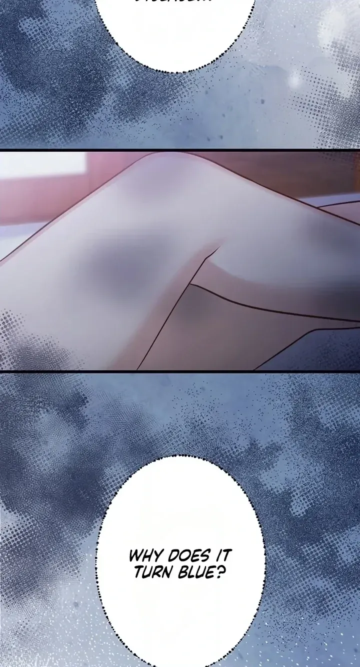 183ba7d0e25d 50 webp