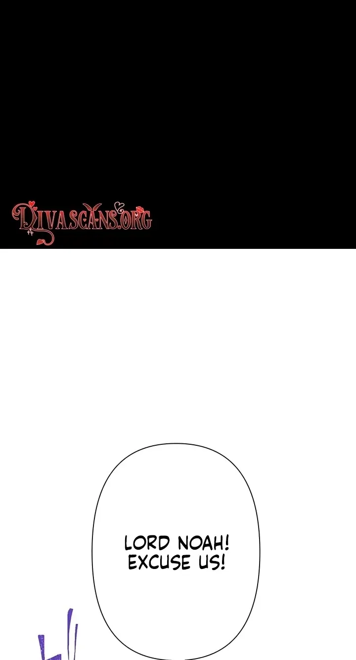 ccec9be5265c 7 webp