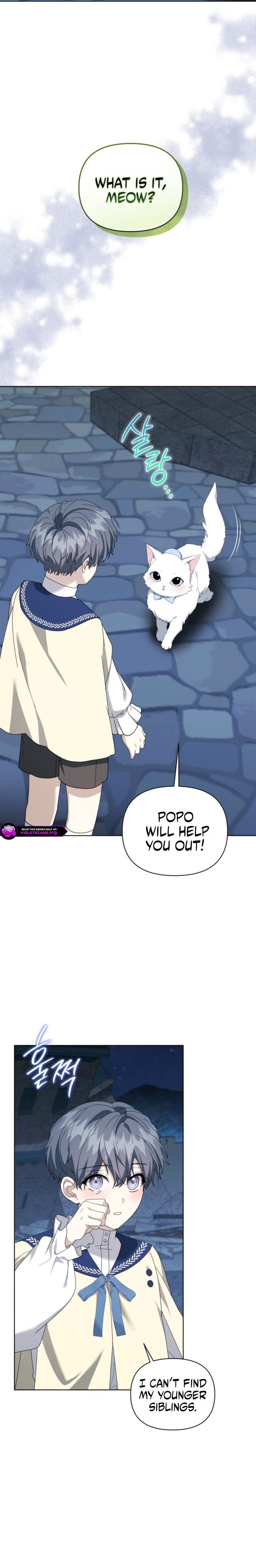0028 16257996