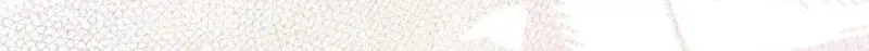 145e0aa4136d
