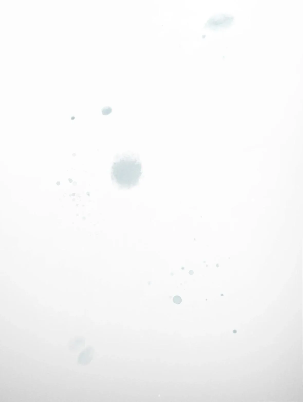 bc8ad4f4f1f3