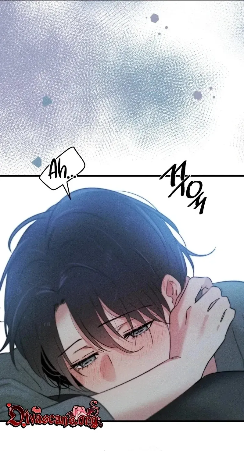 fe97ccf342ee