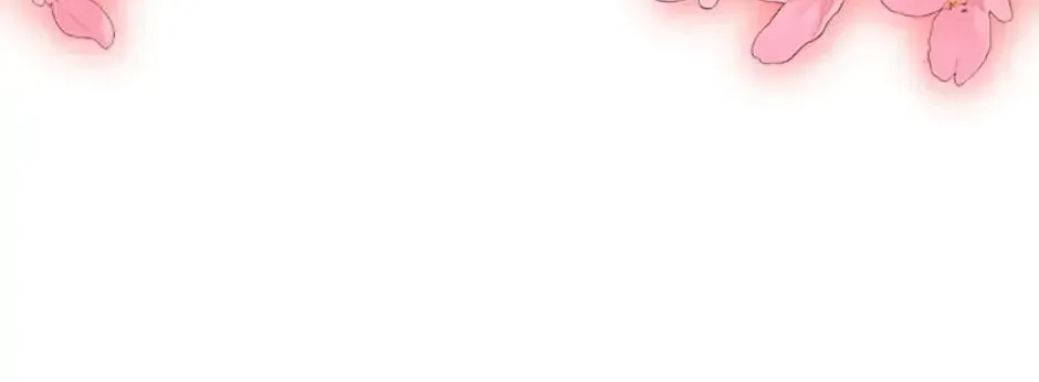11b4cff72c3e