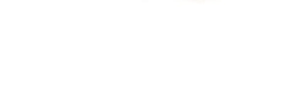 c294da311b95