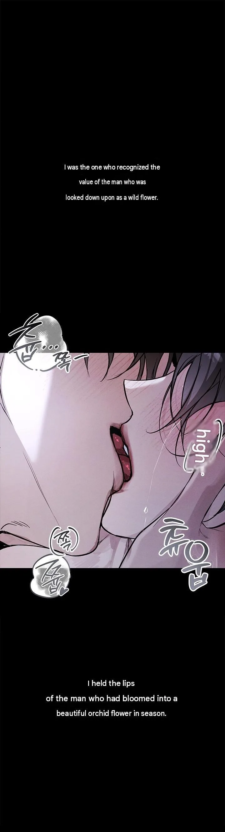 Until He Becomes An Orchid Chapter 0 37 5b43912ccd3d