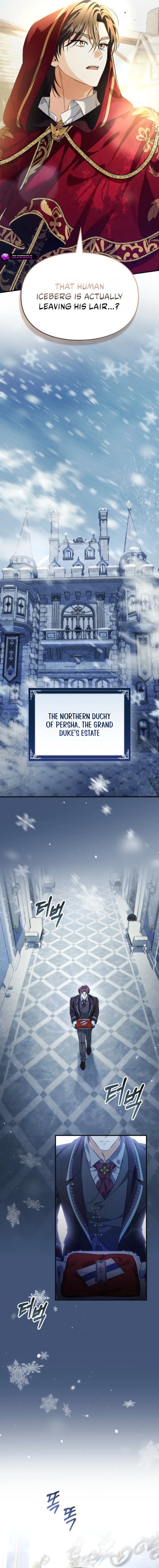 0017 806676d0