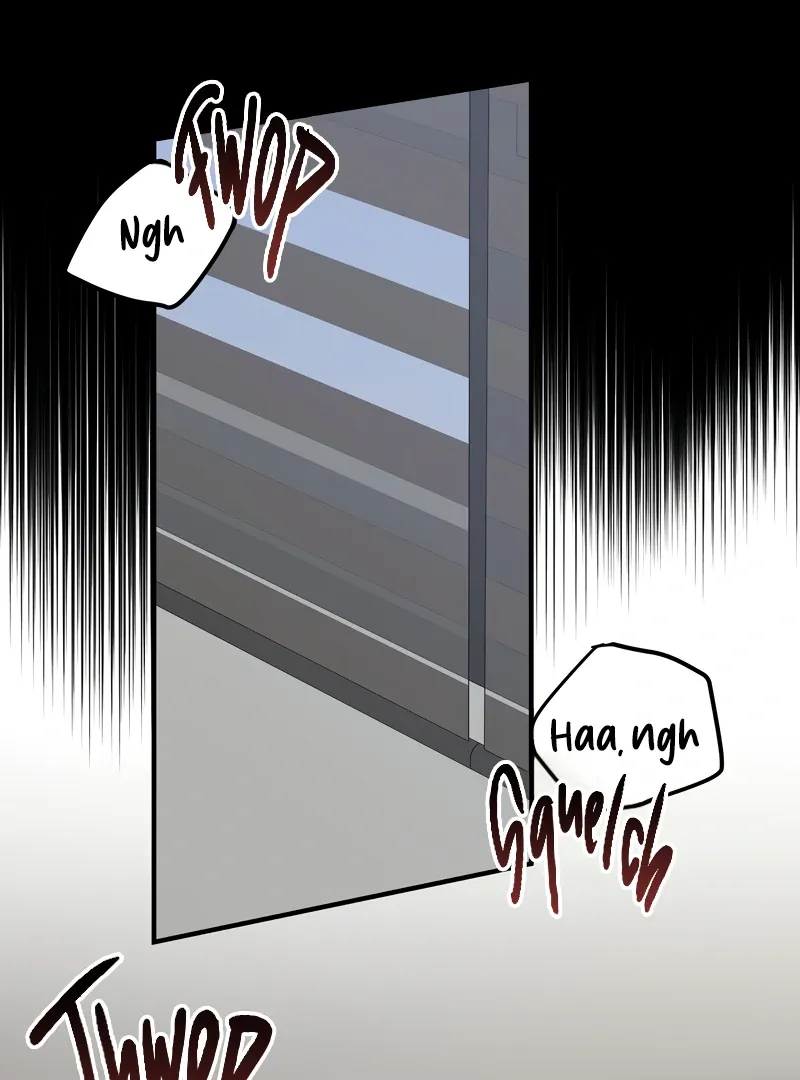 95e4dd8de7e0