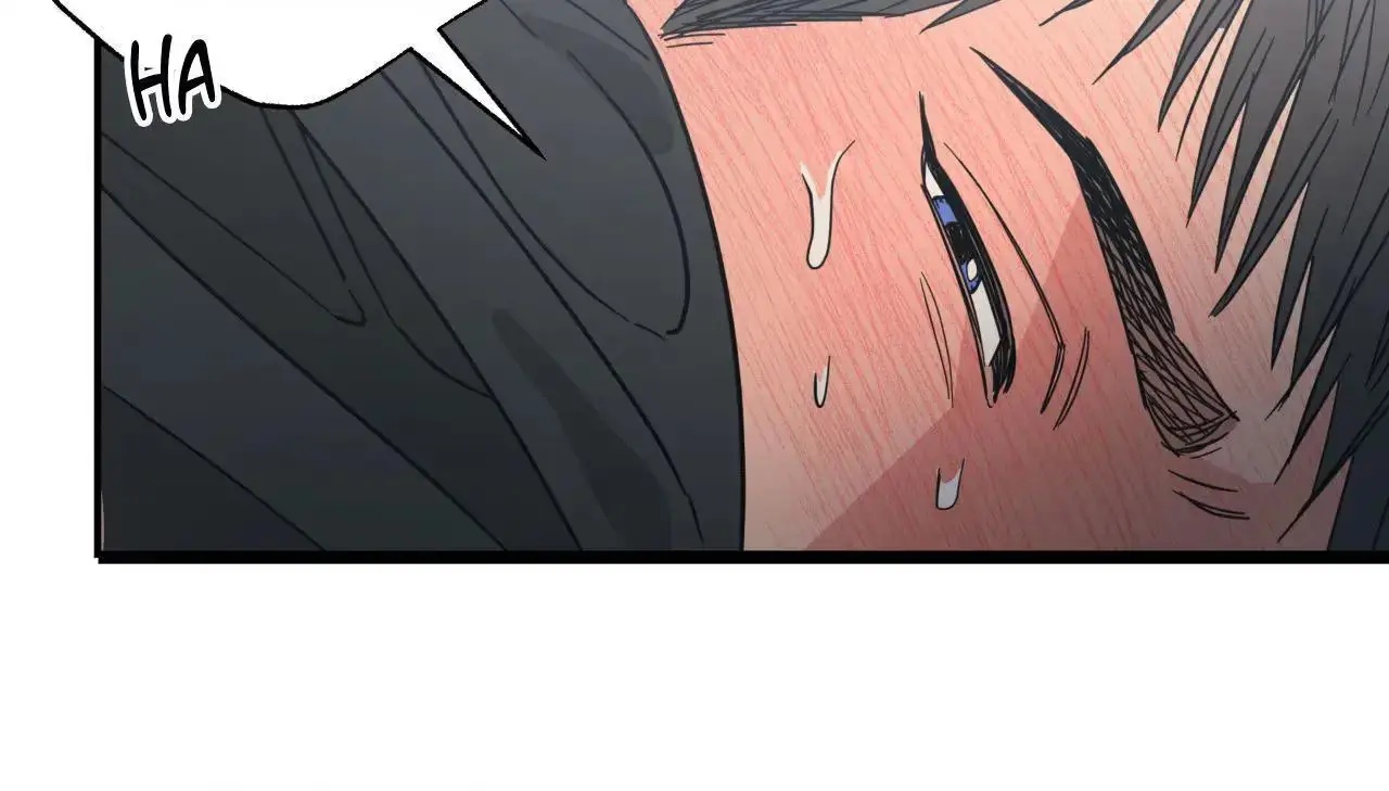 d87eb70e73a7