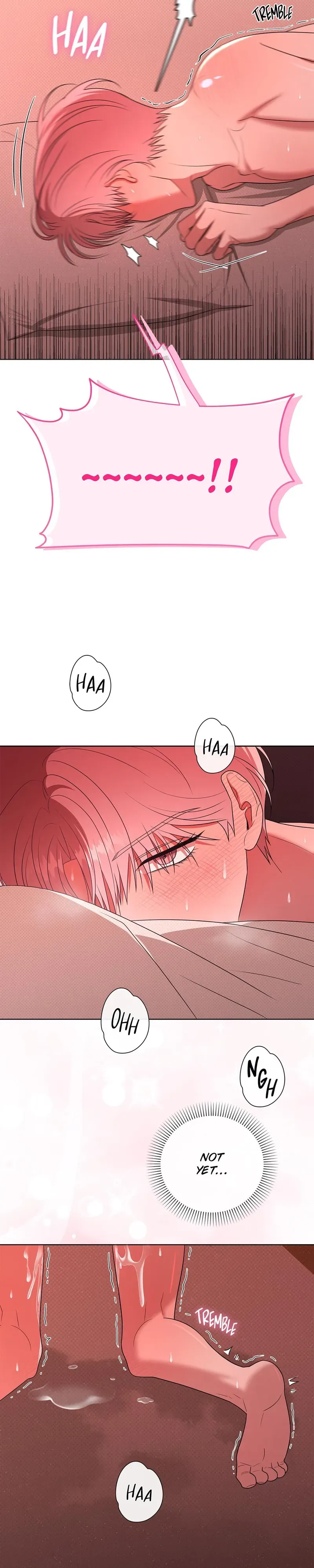 455284db3085