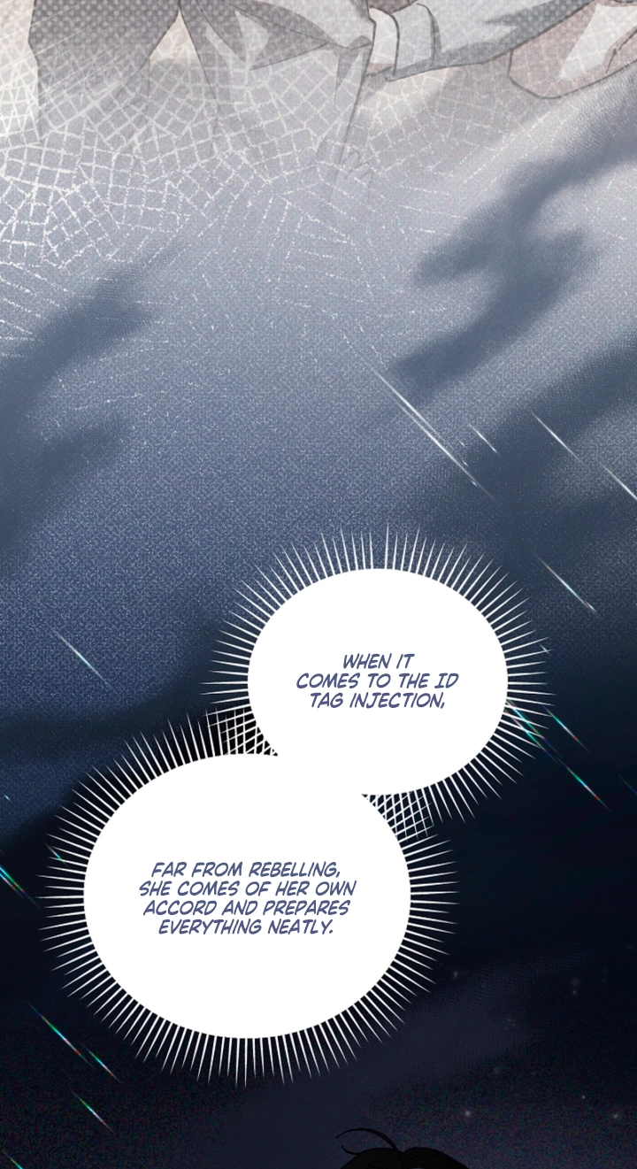 ab7d07e47368