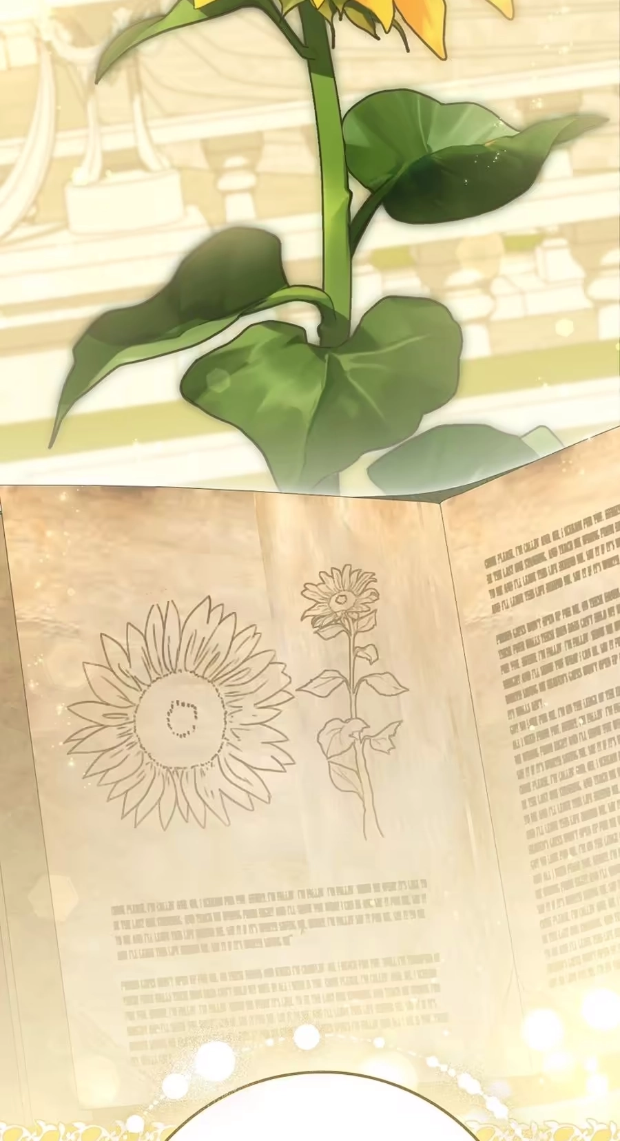 The Baby Sprout Who Bloomed in the Villain Duke’s Family Chapter 21 377 5f4896291cda