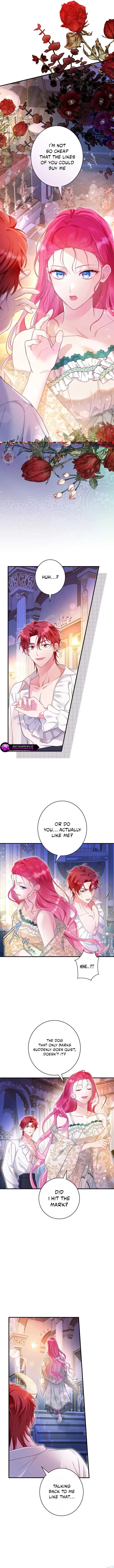 0003 96a3dd91