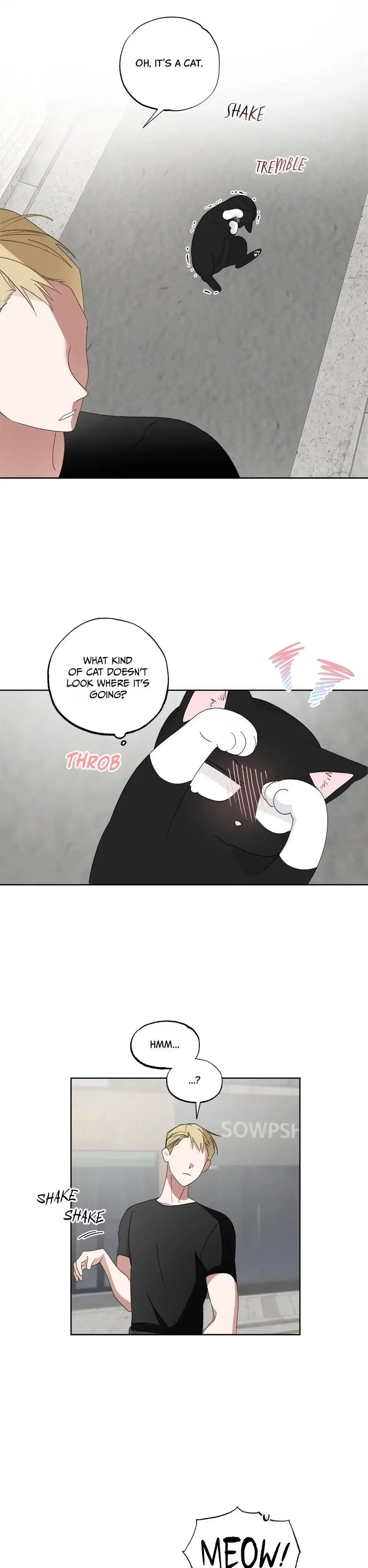 A Cat Can Even Love a Rat Chapter 6 99 2fc45a9689cd