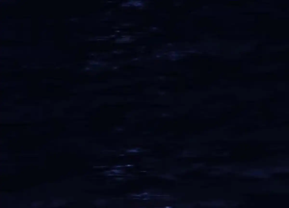 2c48058f3976