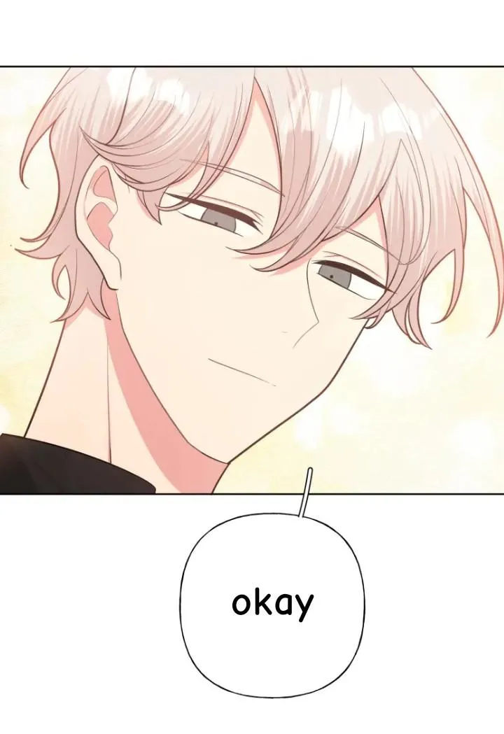 9067c339e3fc