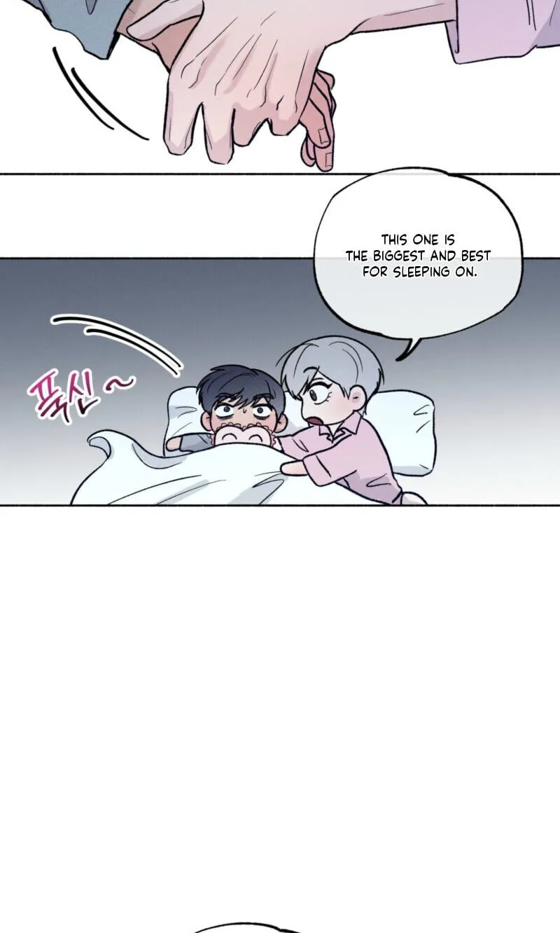 02d8d590cb8a