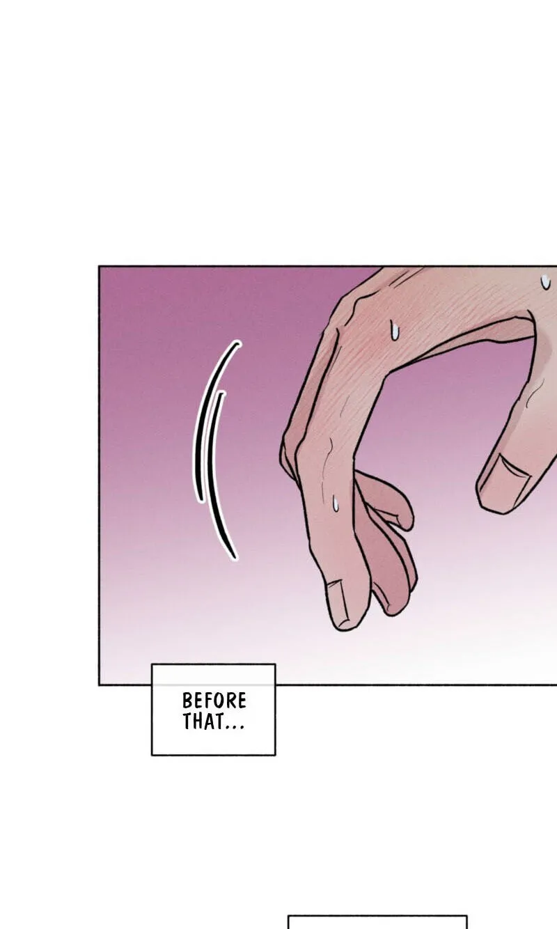 5255b85854fa