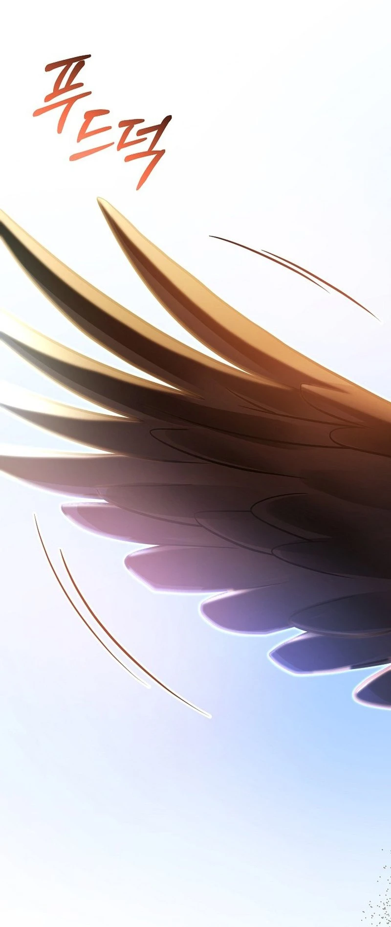 bd5301fc9d7a