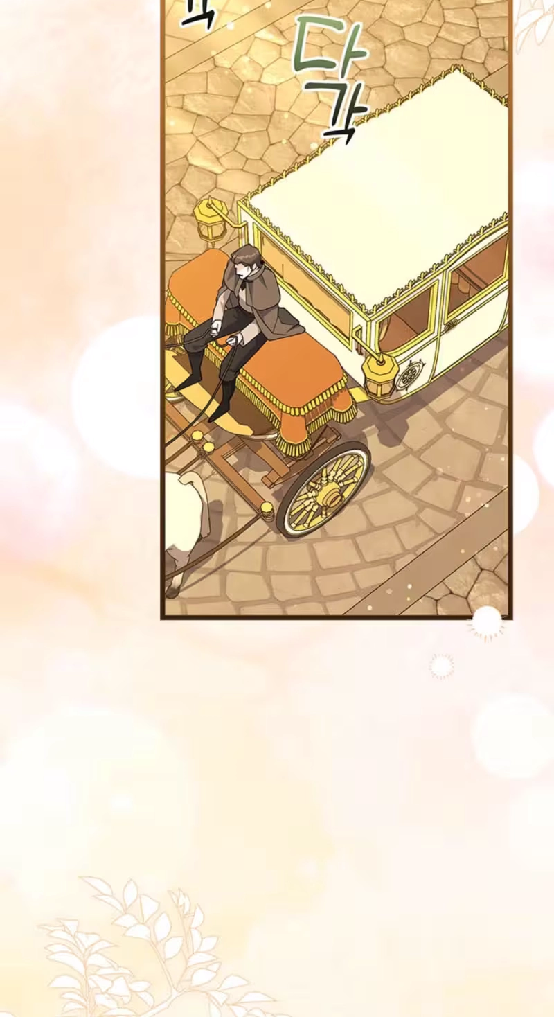 Violet Zerotta's Hasty Marriage Chapter 30 277 a3fe3b441bd7
