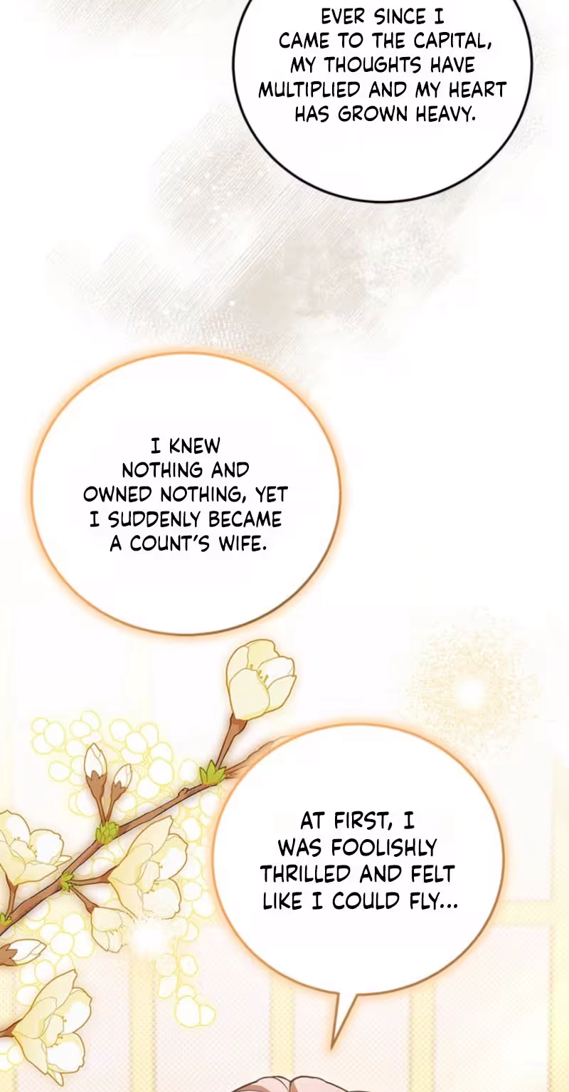 Violet Zerotta's Hasty Marriage Chapter 31 295 2592d9db9d93