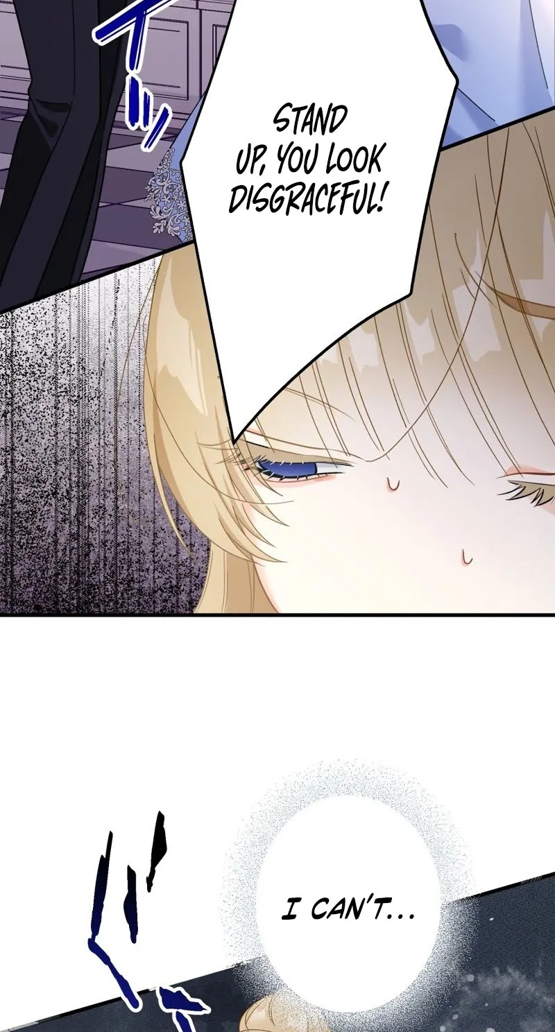 00842842ba05