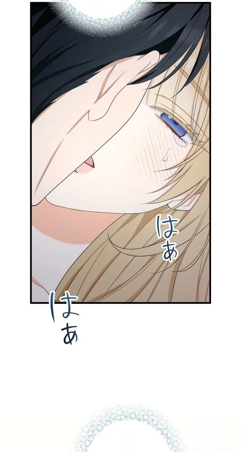 388d457fe112
