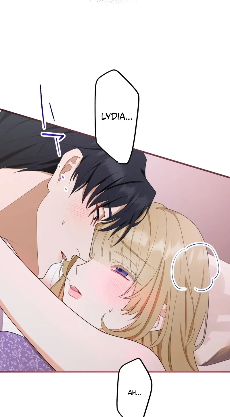c0cd25d611fd