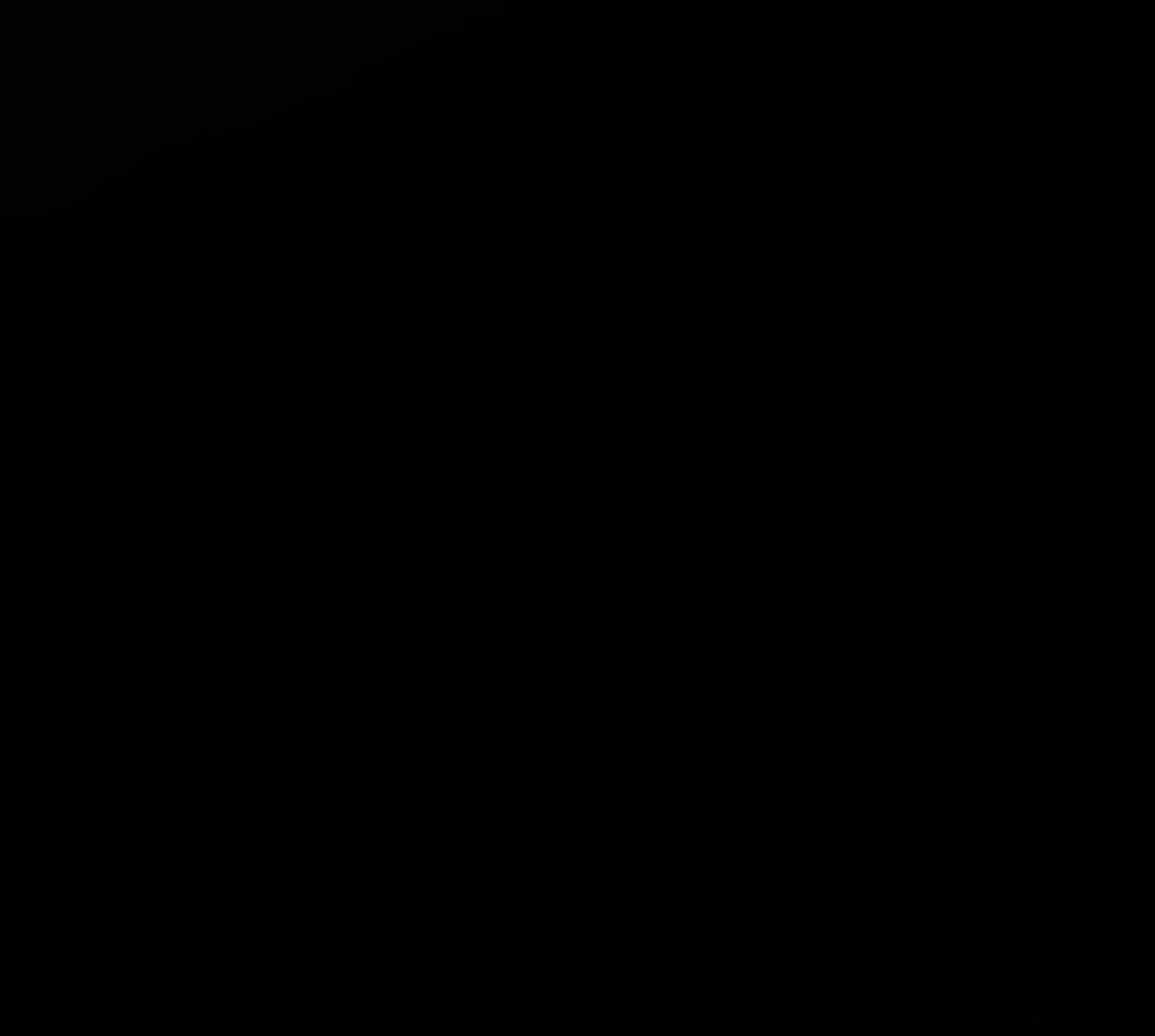 f331aa5458e0
