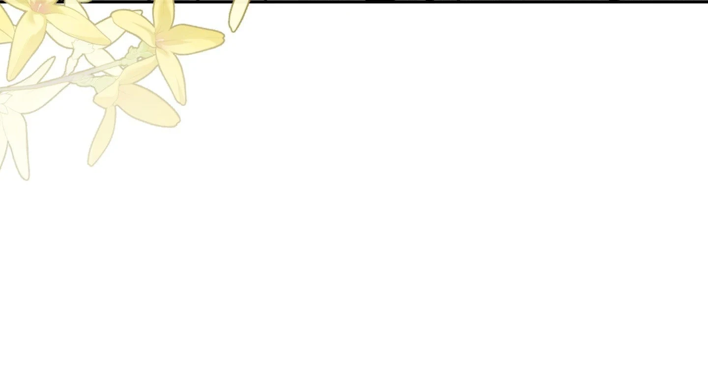 e186e5b8f7bc